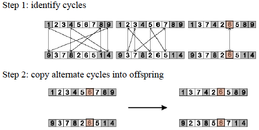Cycle Edge Crossover Crossover Example