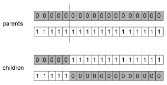$1$-Point Crossover Example