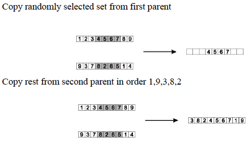 Order 1 Edge Crossover Example