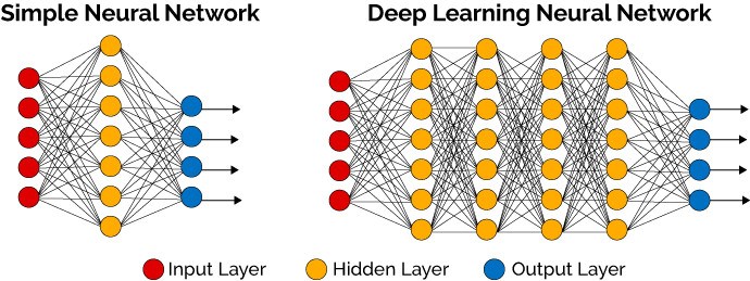 Neural Network